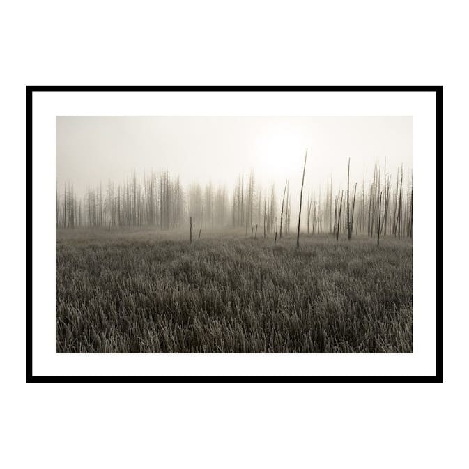 Poster Gallerix Tangled Creek