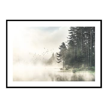 Poster Gallerix Birds In Nature