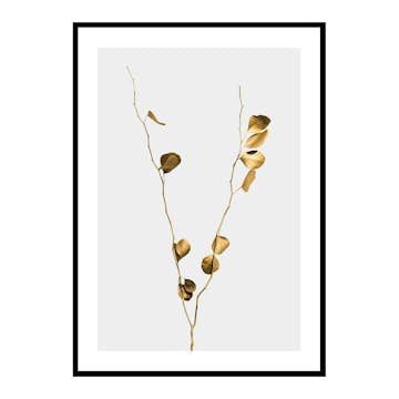 Poster Gallerix Eucalyptus Gold No1