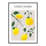 Poster Gallerix Citrus Limon
