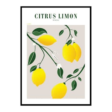 Poster Gallerix Citrus Limon