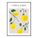 Poster Gallerix Citrus Limon