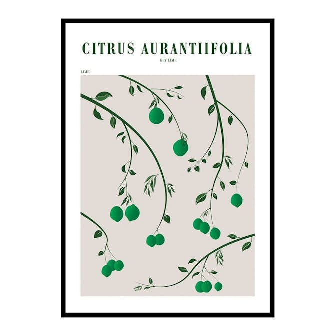 Poster Gallerix Citrus Aurantifolia