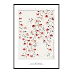 Poster Gallerix Cherry Blossom By Watanabe Seitei