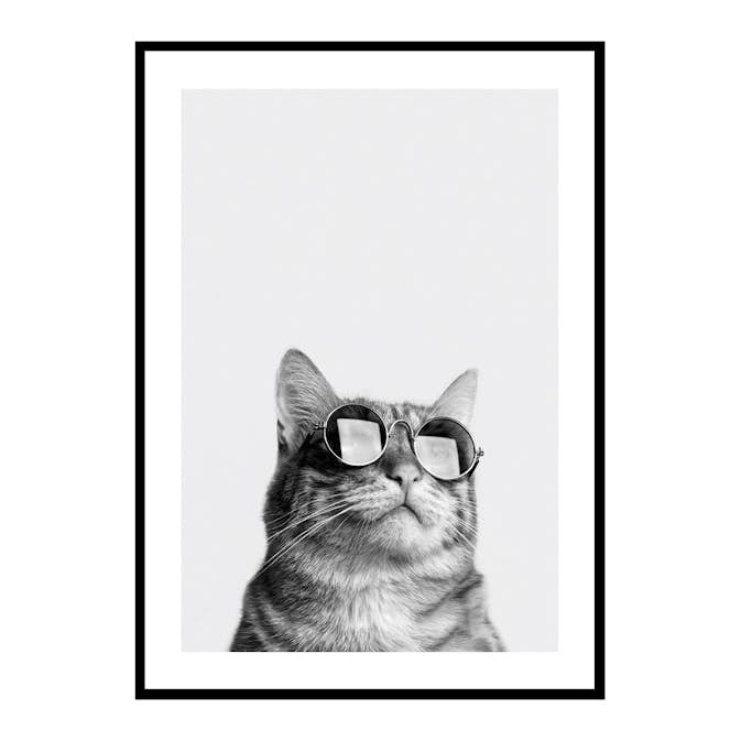 Poster Gallerix Cat With Shades