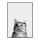 Poster Gallerix Cat With Shades