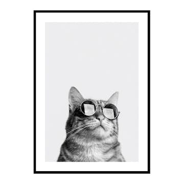 Poster Gallerix Cat With Shades