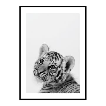 Poster Gallerix Tiger Cub