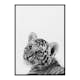 Poster Gallerix Tiger Cub