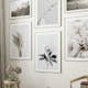 Poster Gallerix Peony BW