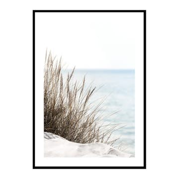 Poster Gallerix Grass At Beach