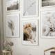 Poster Gallerix Gazing Lion