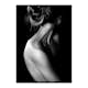 Poster Gallerix Neck And Shoulder