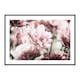 Poster Gallerix Pink Tulip