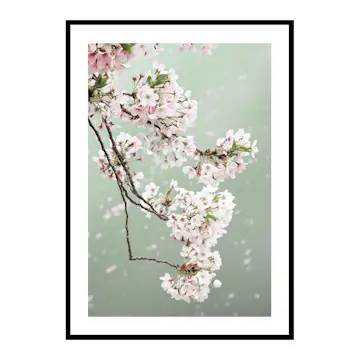 Poster Gallerix Cherry Blossom