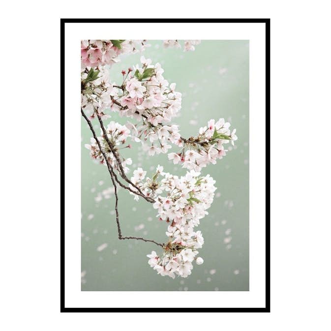Poster Gallerix Cherry Blossom