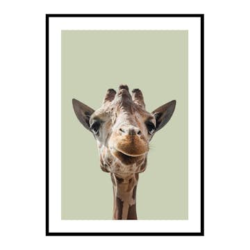 Poster Gallerix Smiling Giraffe