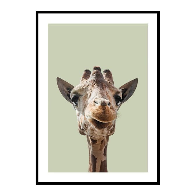 Poster Gallerix Smiling Giraffe