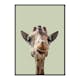 Poster Gallerix Smiling Giraffe