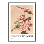 Poster Gallerix Striped Camellias by Ogawa Kazumasa