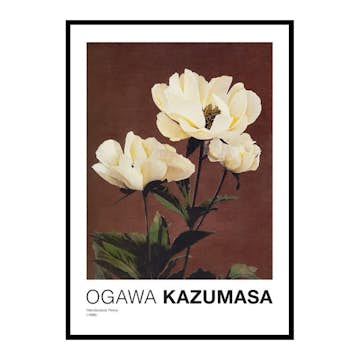 Poster Gallerix Hærdaceous Peony By Kazumasa Ogawa