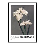 Poster Gallerix White Iris Kæmpferi By Kazumasa Ogawa