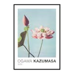 Poster Gallerix Lotus Flowers By Ogawa Kazumasa