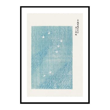 Poster Gallerix Birds By Taguchi Tomoki