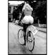 Poster Gallerix Marilyn Monroe Riding Bicycle