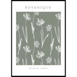 Poster Gallerix Fleur De Jardin No2