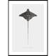 Poster Gallerix Eagle Ray