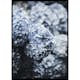 Poster Gallerix Blue Hydrangea