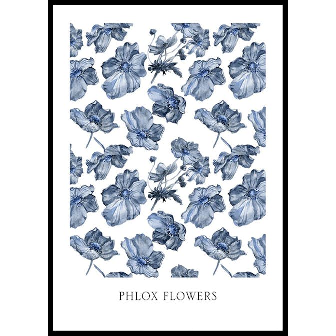 Poster Gallerix Phlox Flowers