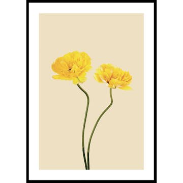 Poster Gallerix Yellow Tulips