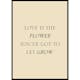 Poster Gallerix Love Is The Flower