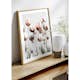 Poster Gallerix Dutch Tulips