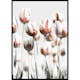 Poster Gallerix Dutch Tulips