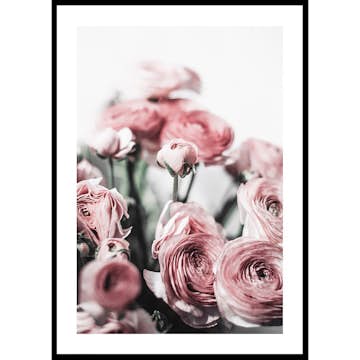 Poster Gallerix Pink Roses