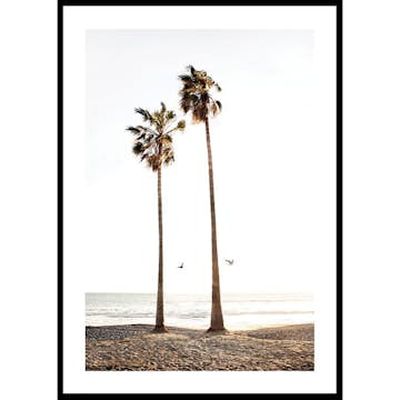 Poster Gallerix Paradise Palm Trees