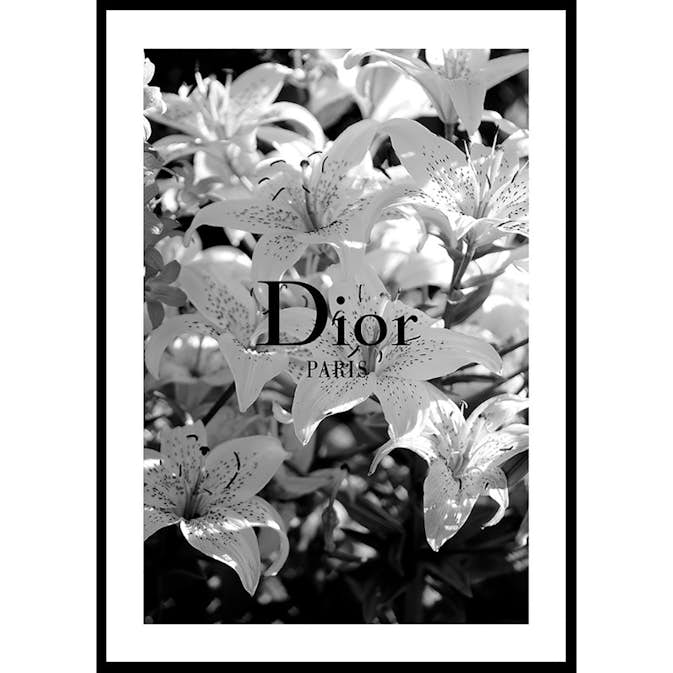 Poster Gallerix Dior Paris