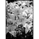 Poster Gallerix Dior Paris