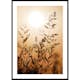 Poster Gallerix Sunset Dry Grass