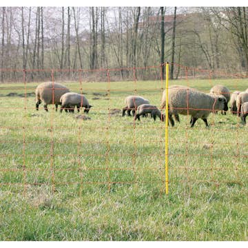 Fårnät Kellfri med Stolpar