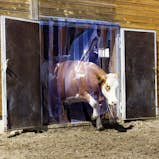 Hage, stall & ladugård