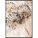 Poster Gallerix Allium Flowers