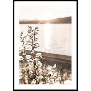 Poster Gallerix Autumn Meadow