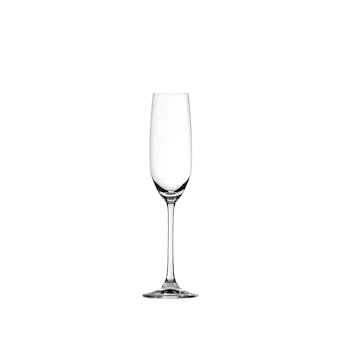Champagneglas Spiegelau Salute 21 cl 4-pack