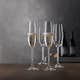 Champagneglas Spiegelau Salute 21 cl 4-pack