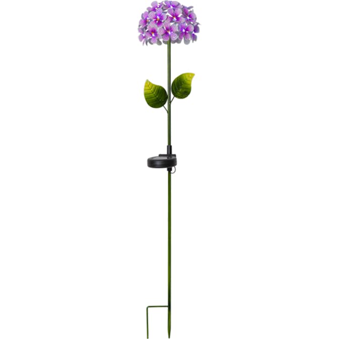Solcellslampa Star Trading Hortensia