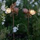 Solcellsdekoration Star Trading Oxida LED 2-pack Insekt